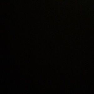 Meet your Posher, Reyna